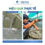 Siêu Khoáng Tạt - Nano Khoáng